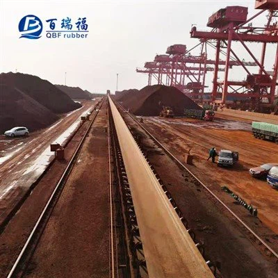 Cinta transportadora àcid àlcali